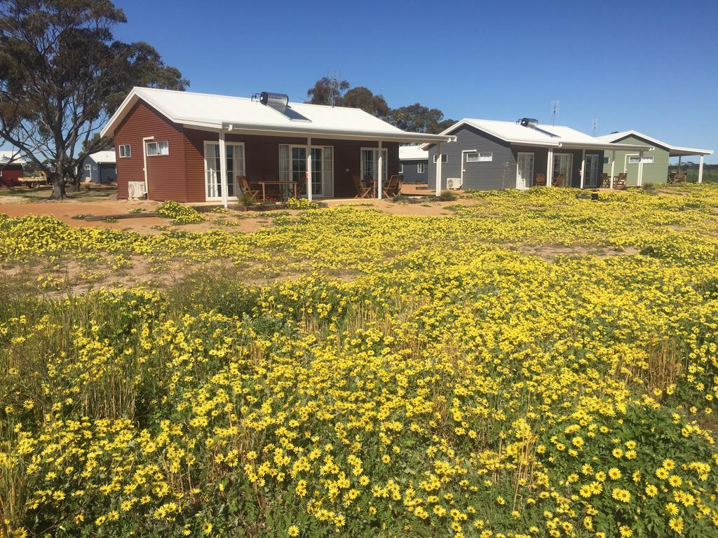 Kukerin Mary'S Farm Cottages מראה חיצוני תמונה